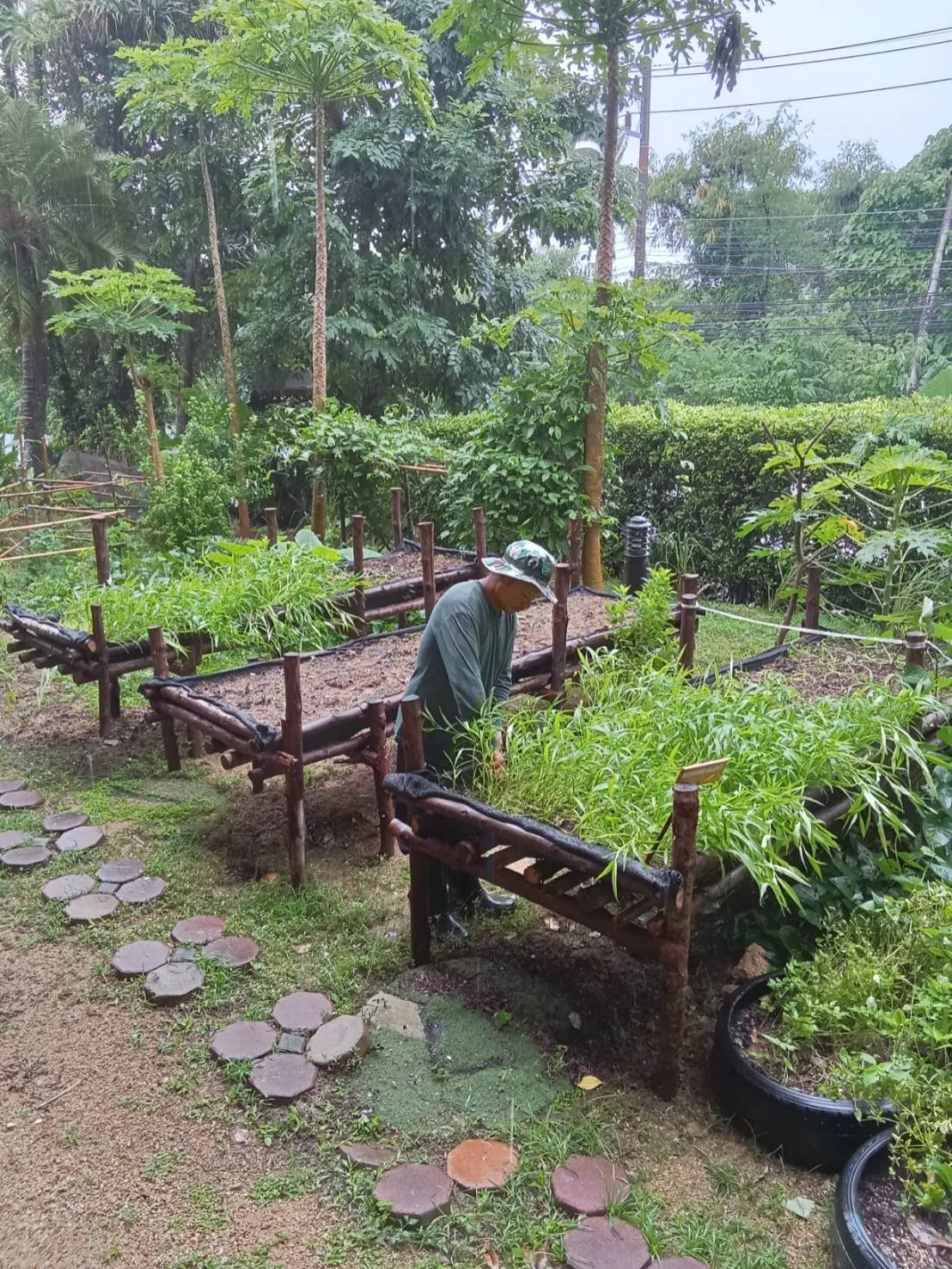 Green spaces in the garden