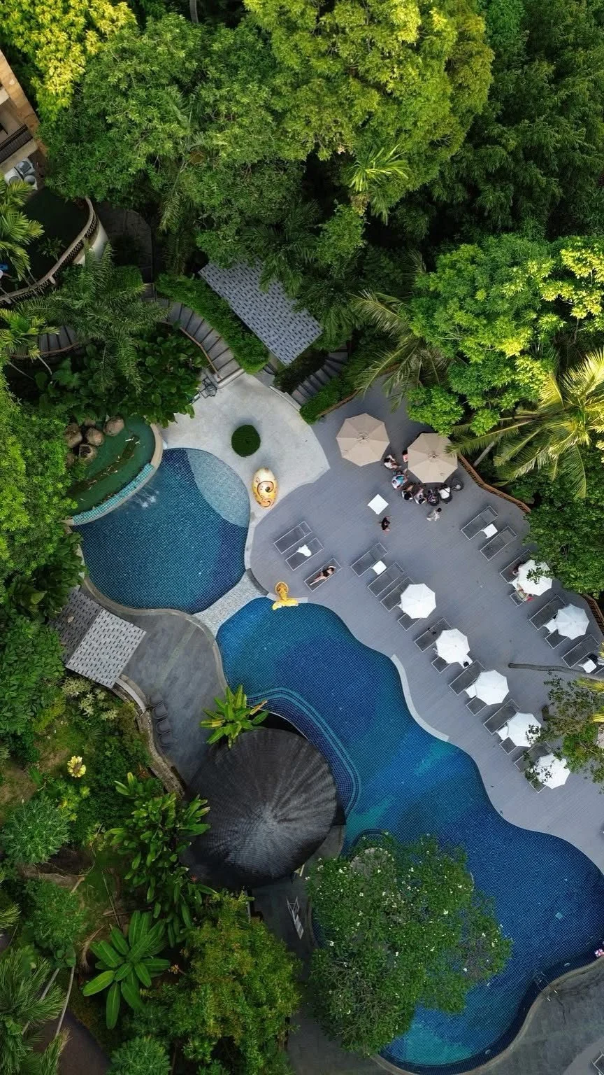 An aerial view of a freeform pool framed by tropical trees